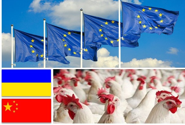 Україна і Китай лідери поставок мяса курятини до Євросоюзу