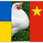 Експорт курячого мяса з України в КНР